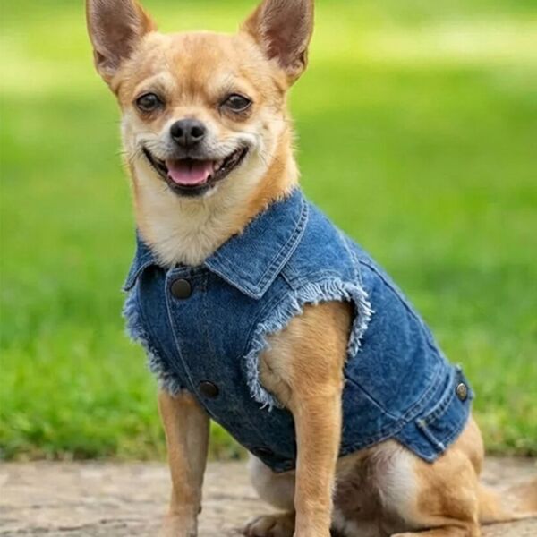 Dog’s denim jacket Thumbnail